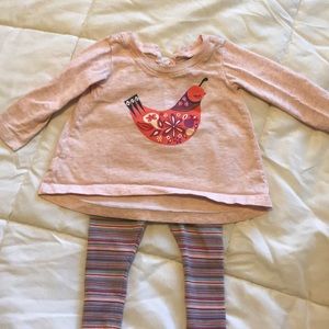 3-6 Month Girls Tea Collection Set